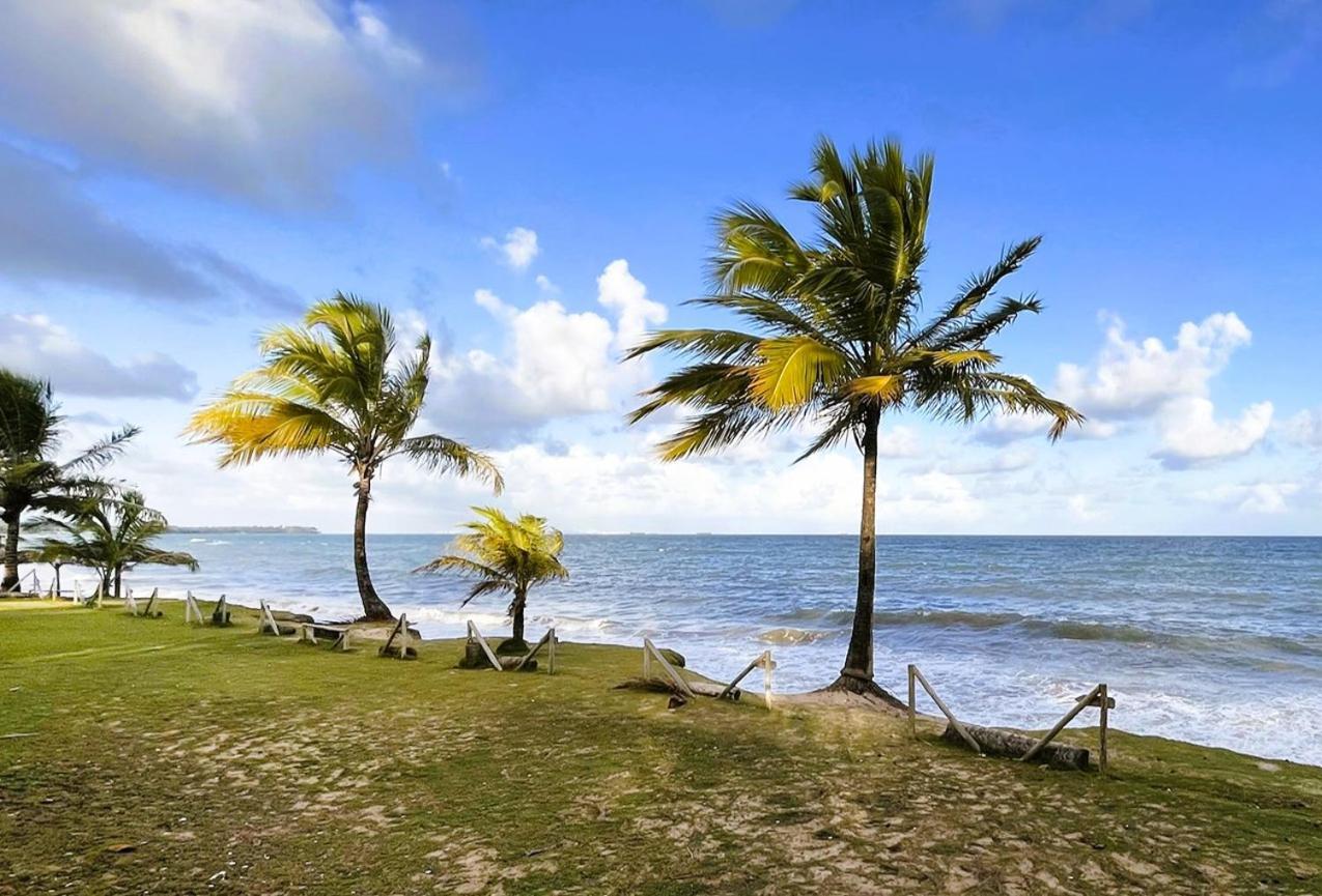 Alma Tropical Mini Resort Vera Cruz de Itaparica Exteriér fotografie